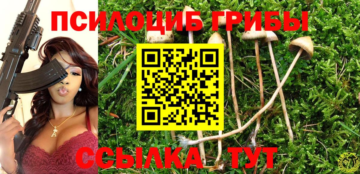 Галлюциногенные грибы Magic Shrooms Нарьян-Мар