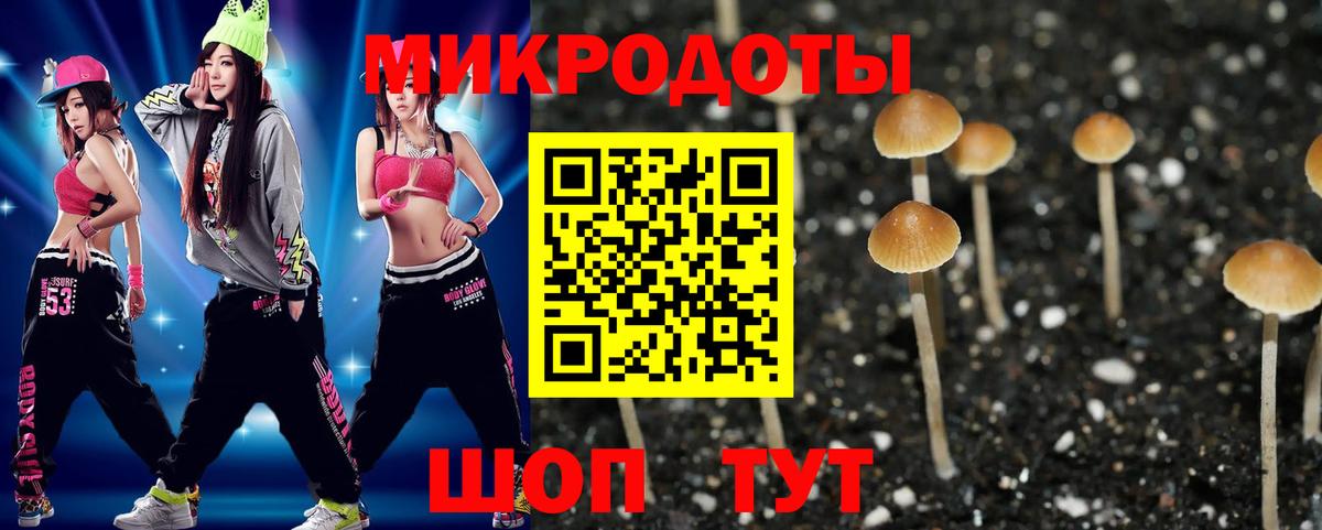 Нарьян-Мар  Галлюциногенные грибы Cubensis  Псилоцибиновые грибы мухоморы  Вход с VPN 